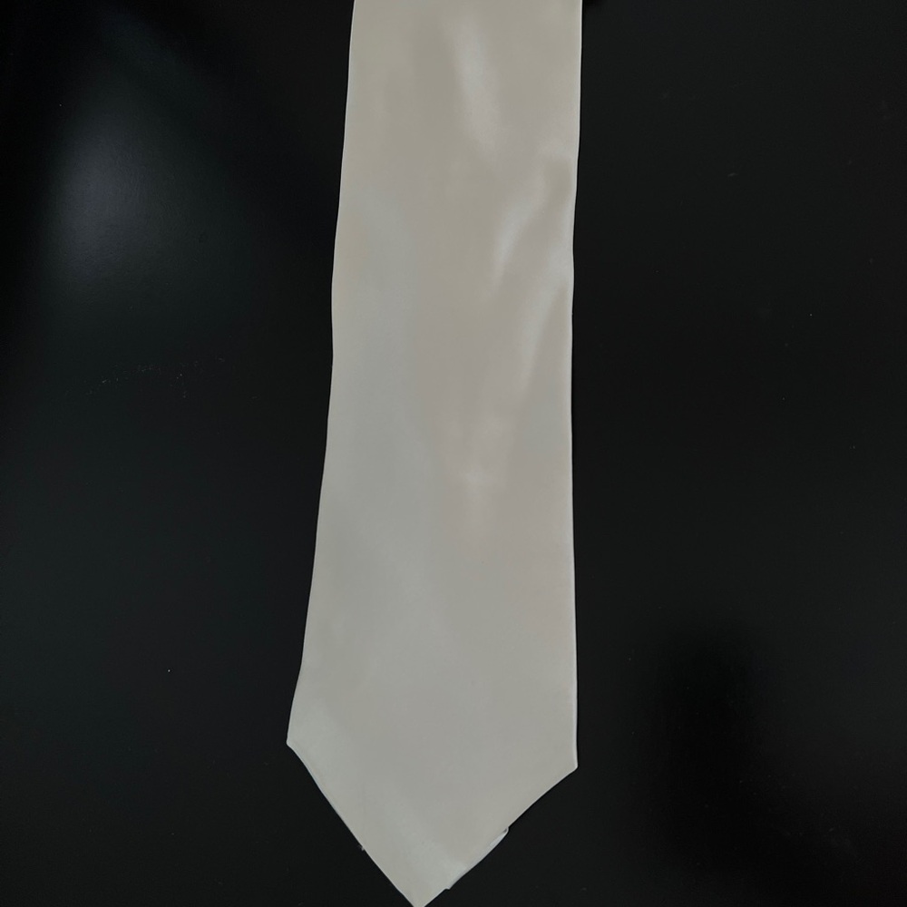 Salvatore Gregorio Men’s Tie